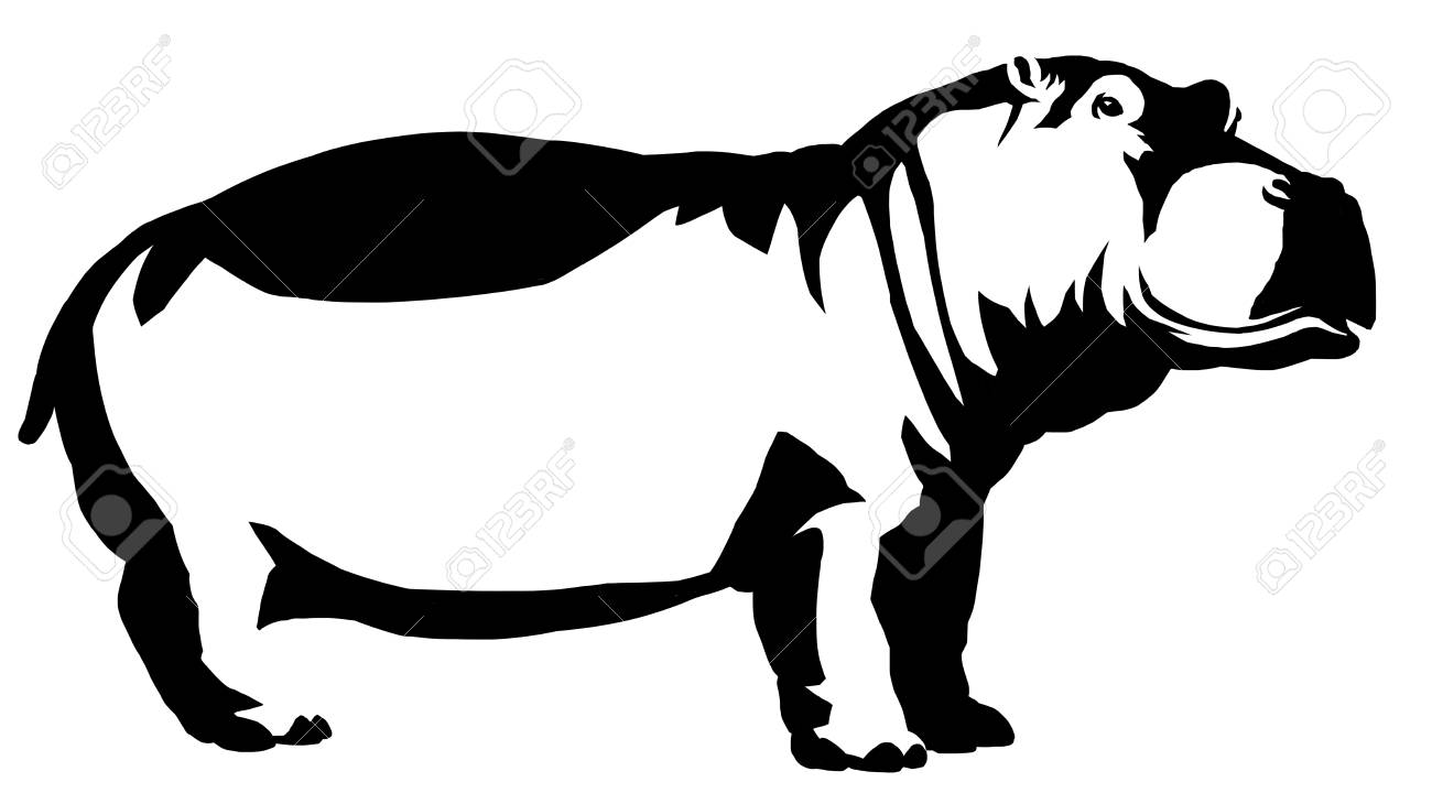 黒と白の線形ペイント カバ イラストします の写真素材 画像素材 Image 74540989