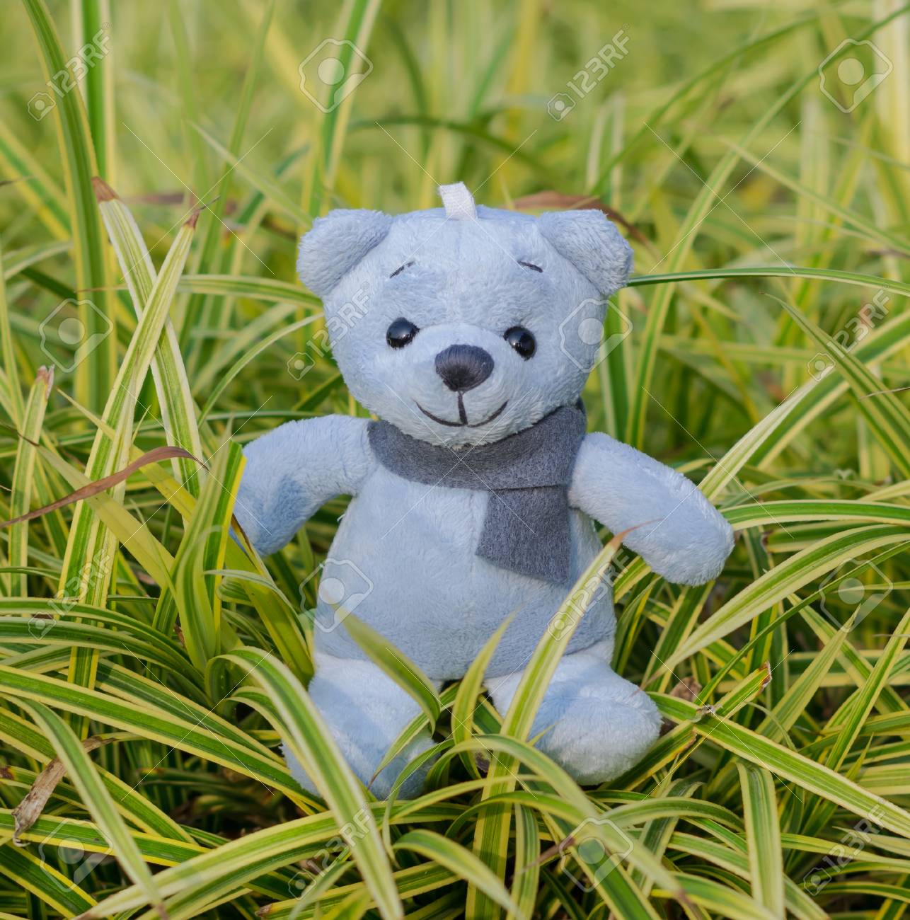 blue and green teddy bear