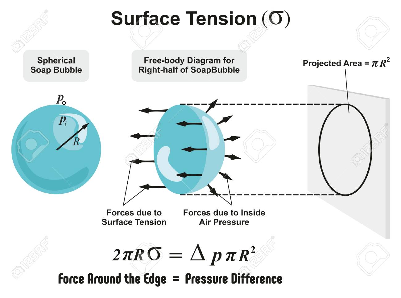 Surface Tension Physics Lesson of spherical soap bubble with all forces arrows and inside air pressure difference and projected area diagram for science education - 80631813 Surface Tension Physics Lesson of spherical soap bubble with all forces arrows and inside air pressure difference and projected area diagram for science education - 80631813