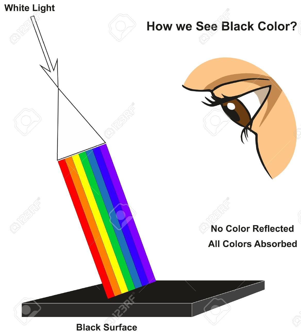 How we See Black Color infographic diagram showing visible spectrum light on surface and colors reflected or absorbed according to its color for physics science education - 87964151 How we See Black Color infographic diagram showing visible spectrum light on surface and colors reflected or absorbed according to its color for physics science education - 87964151