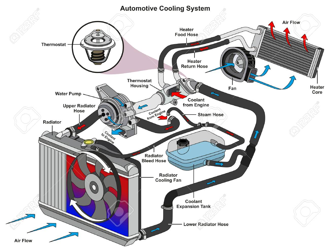 Automotive Cooling System infographic diagram showing process and all parts included radiator hoses coolant flow thermostat fan tank and air flow for mechanic and road traffic safety science education - 87963547 Automotive Cooling System infographic diagram showing process and all parts included radiator hoses coolant flow thermostat fan tank and air flow for mechanic and road traffic safety science education - 87963547