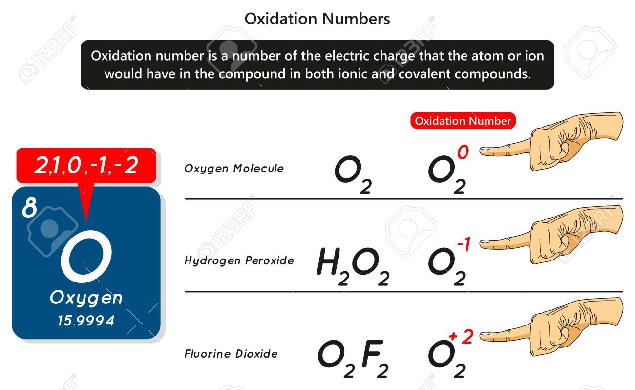 Oxidation Numbers Infographic Diagram With Example Of Oxygen Atom
