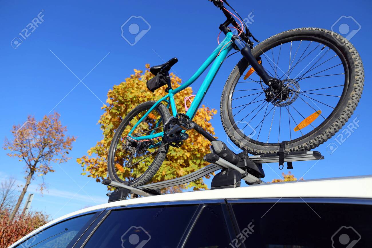 the bicycle rack