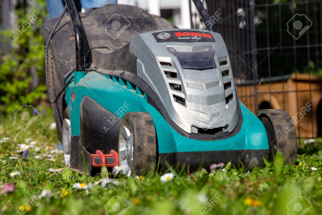 Cortar El Con Una Cortadora De Césped Bosch (mutterstadt Alemania, 19 De Abril De 2022) Fotos, Retratos, Imágenes Y Fotografía De Archivo Libres Derecho. Image