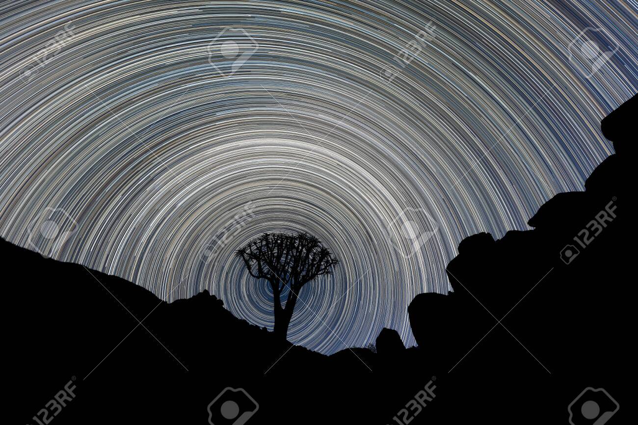 A beautiful night sky photograph of a silhouetted Quiver Tree framed by rocky mountains, with circular star trails creating a vortex around the tree, in the Richtersveld National Park, South Africa. - 142556572 A beautiful night sky photograph of a silhouetted Quiver Tree framed by rocky mountains, with circular star trails creating a vortex around the tree, in the Richtersveld National Park, South Africa. - 142556572