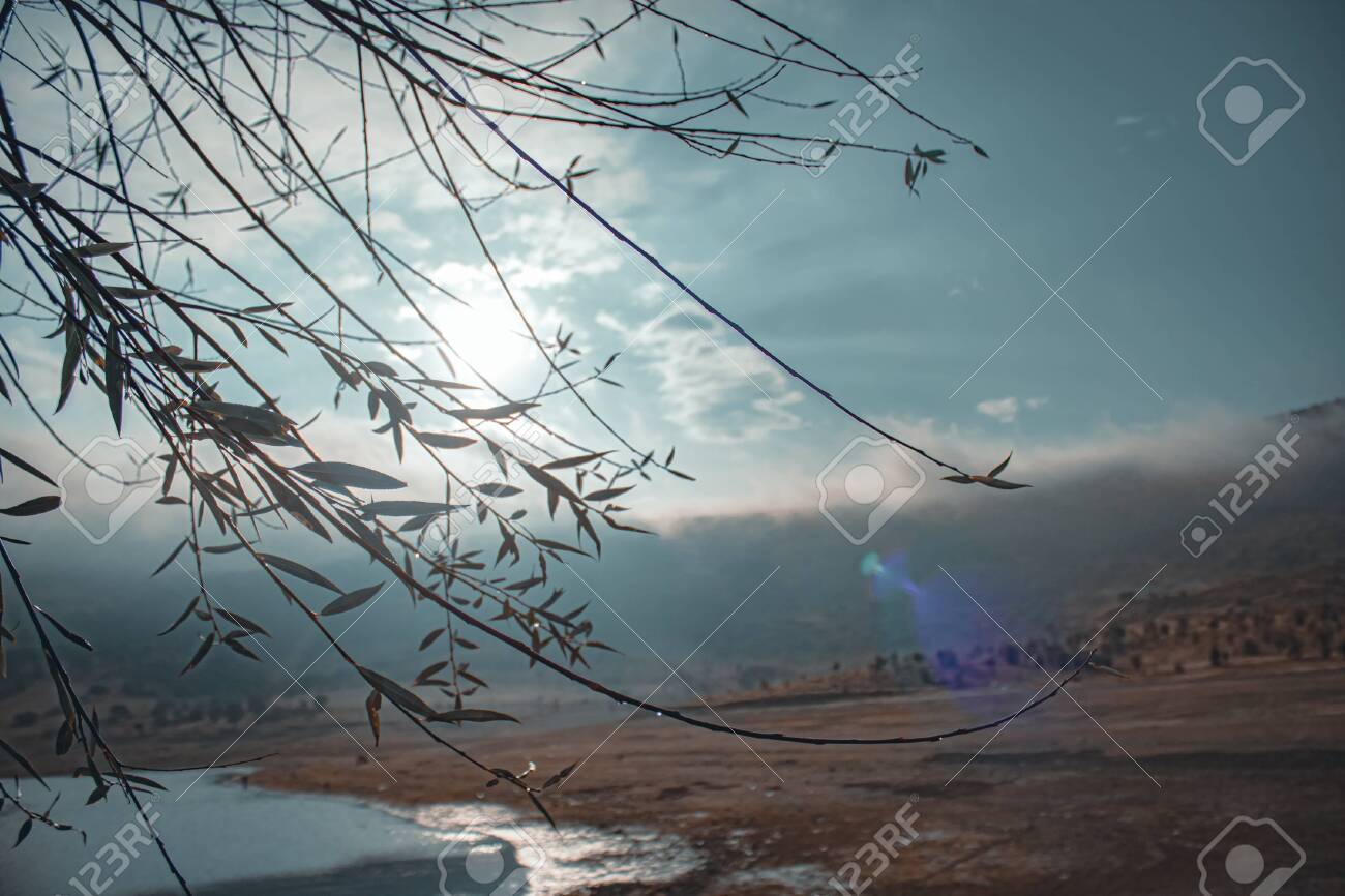 etiam-dictum-ipsum-a-felis