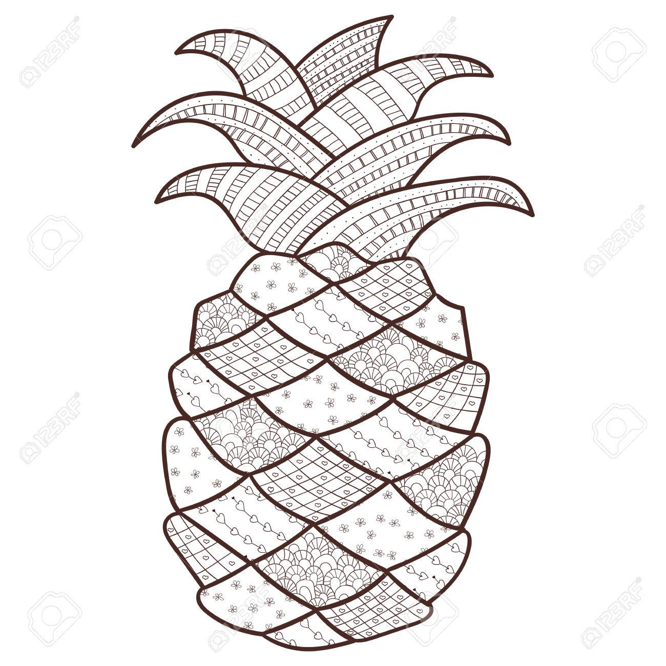 Pineapple Volwassen Kleurplaat Zentangle Geïnspireerd Grillige Lijn