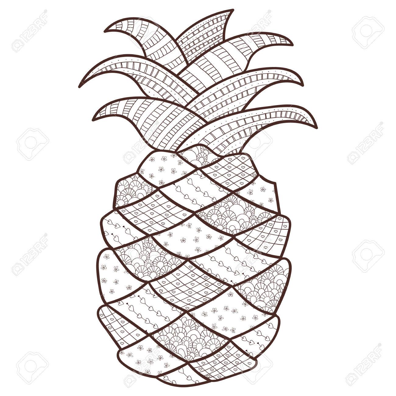 Pineapple Volwassen Kleurplaat Zentangle Geinspireerd Grillige Lijn Kunst Vector Illustratie Brown Omtrek Royalty Vrije Cliparts Vectoren En Stock Illustratie Image 57990671