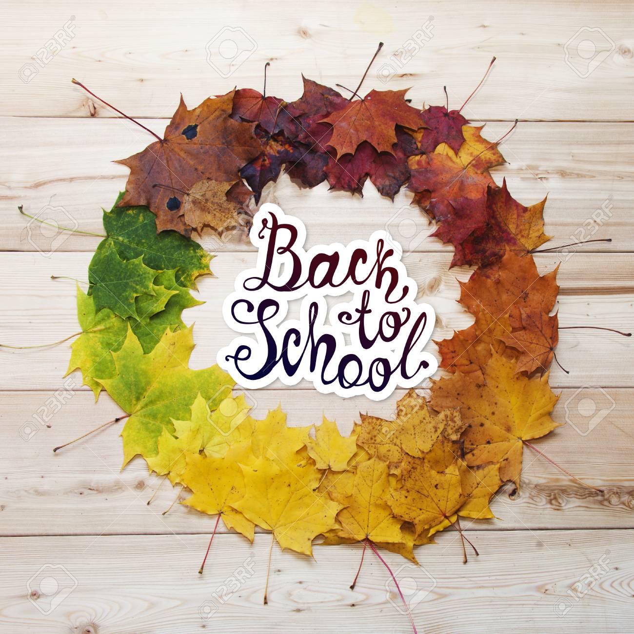 学校に戻る9 月 1 日の休日 ロゴベクトルの手には 文字が描画されます 秋のもみじのフレームが の写真素材 画像素材 Image