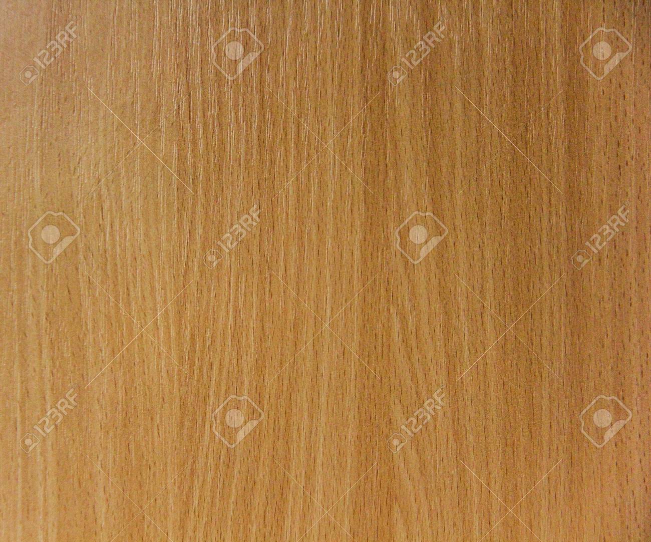 樫の木のテクスチャ の写真素材 画像素材 Image 樫の木のテクスチャ の写真素材 画像素材 Image