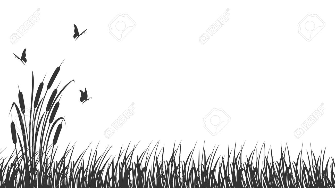 Border Silhouette Of Tall Marsh Grass With Reeds And Butterflies. Dark  Shadow Of Marsh Vegetation. Клипарты, SVG, векторы, и Набор Иллюстраций Без  Оплаты Отчислений. Image 187834598