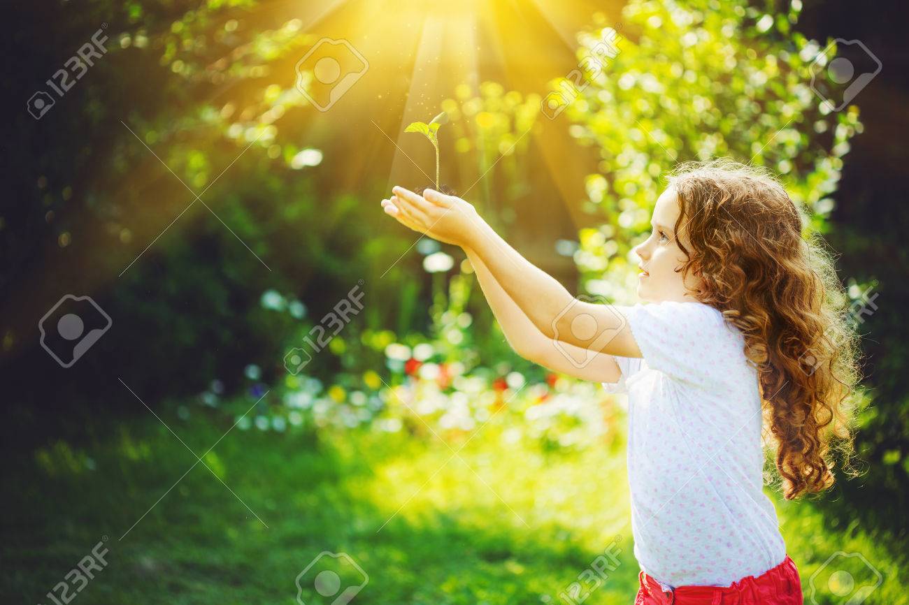 Little girl holding young green plant in sunlight. Ecology concept. Background toning to instagram filter. - 50463320 Little girl holding young green plant in sunlight. Ecology concept. Background toning to instagram filter. - 50463320