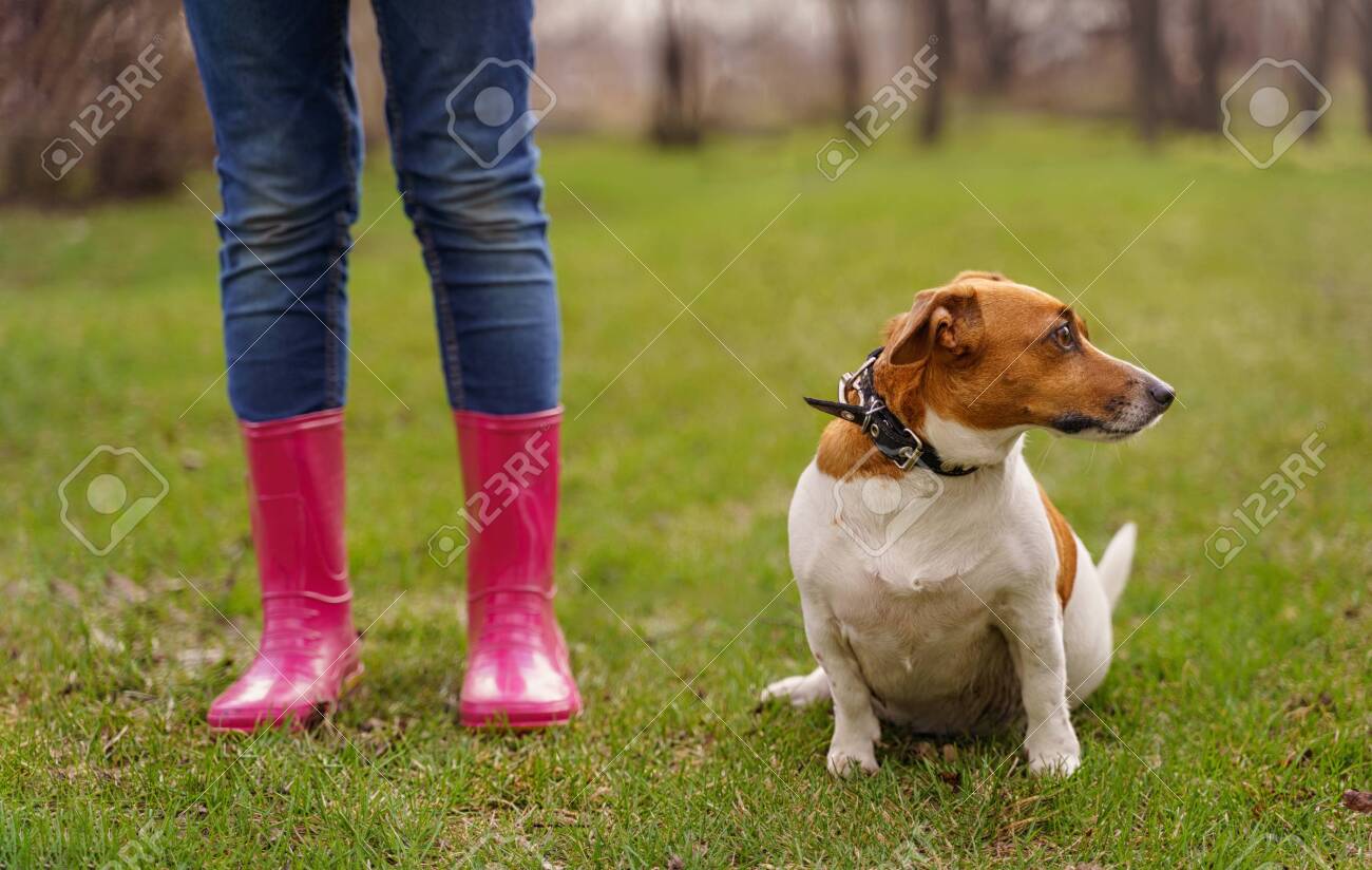 jack russell boots