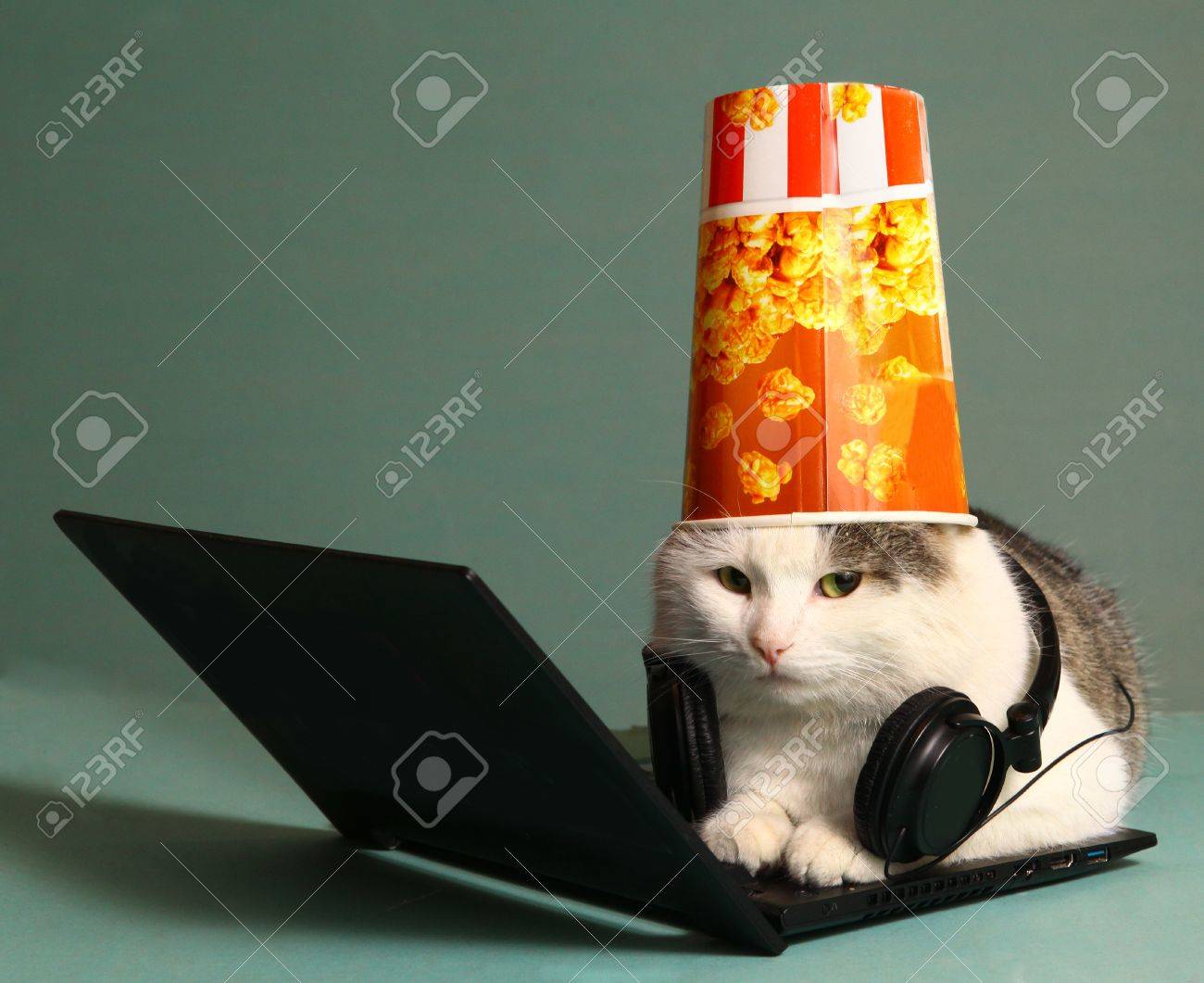 Image Drole De Chat Avec Ordinateur Portable Et Un Casque Banque D Images Et Photos Libres De Droits Image