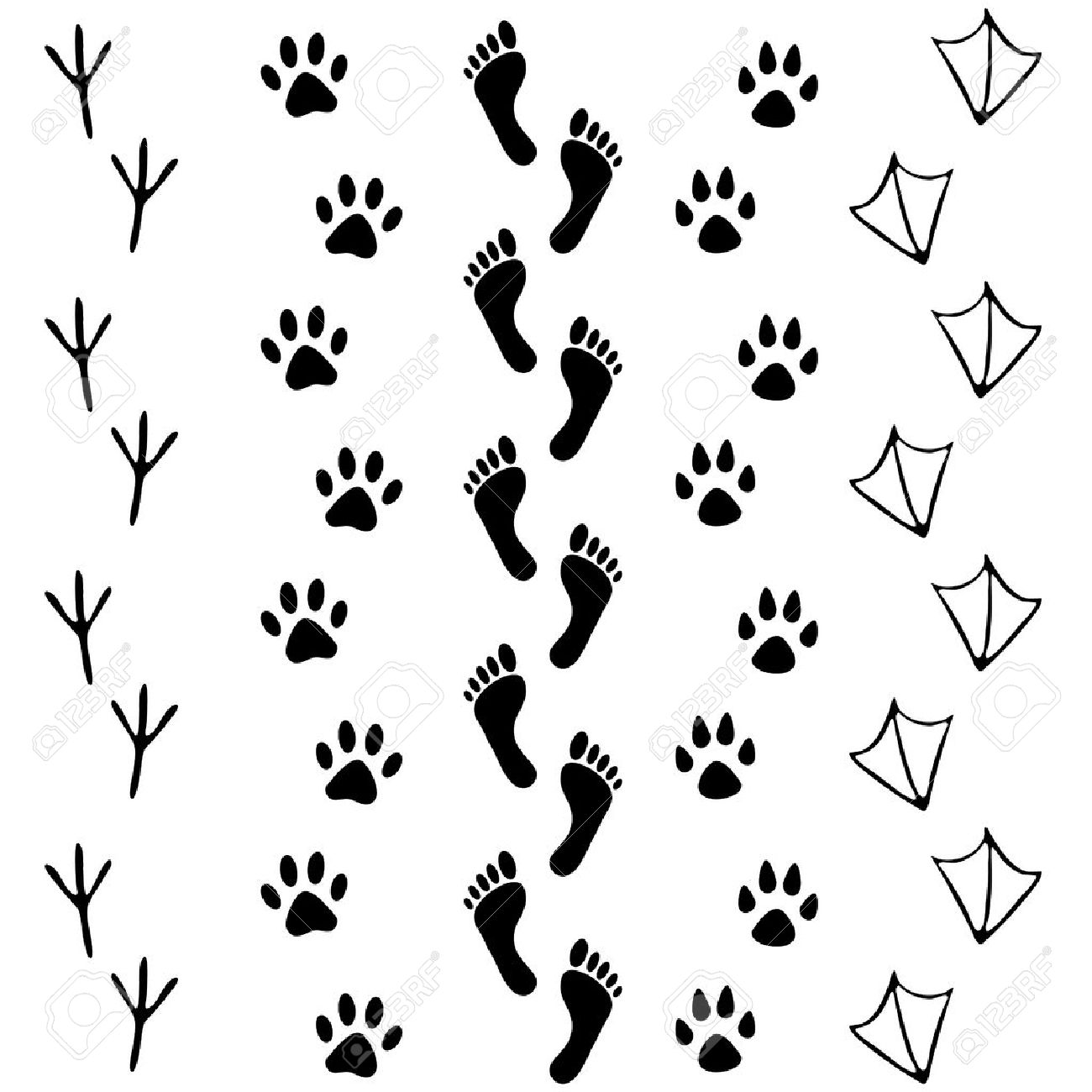 vector set of human and animal bird footprints icon collection