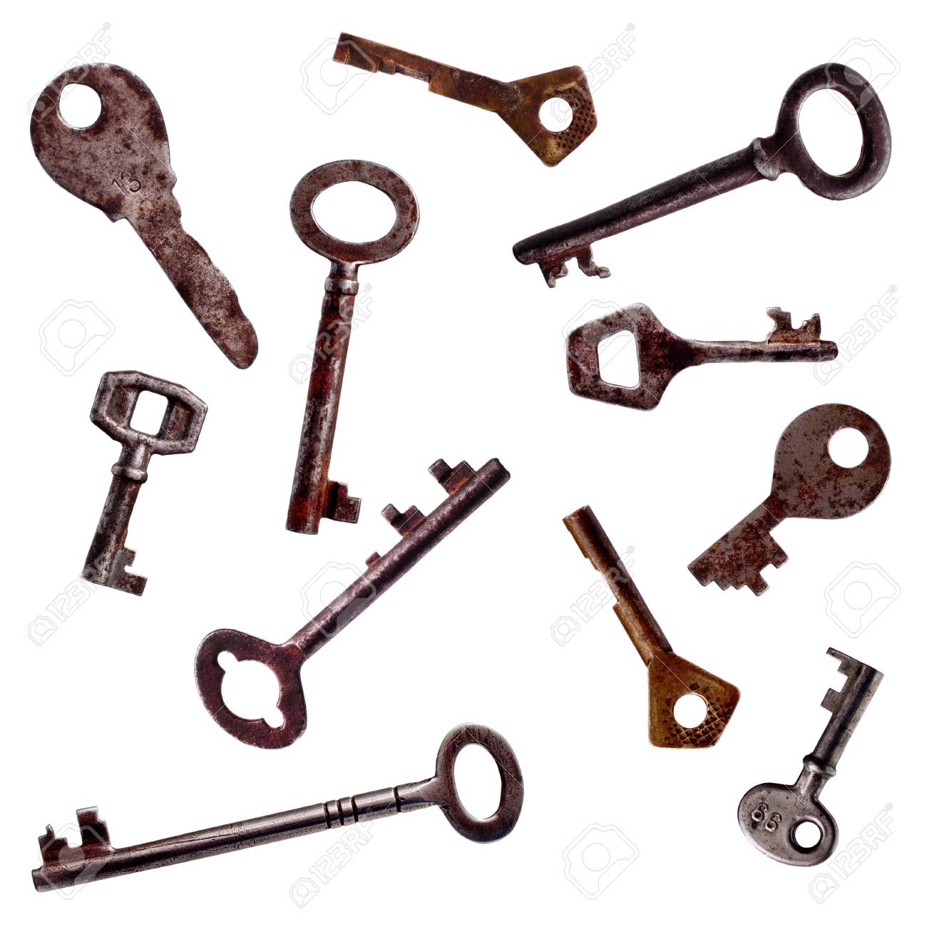 etiam-dictum-ipsum-a-felis