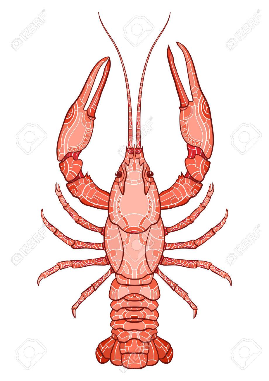 白い背景の上の装飾的な孤立したザリガニ ベクトルの図 グラデーション のイラスト素材 ベクタ Image 白い背景の上の装飾的な孤立したザリガニ ベクトルの図 グラデーション のイラスト素材 ベクタ Image