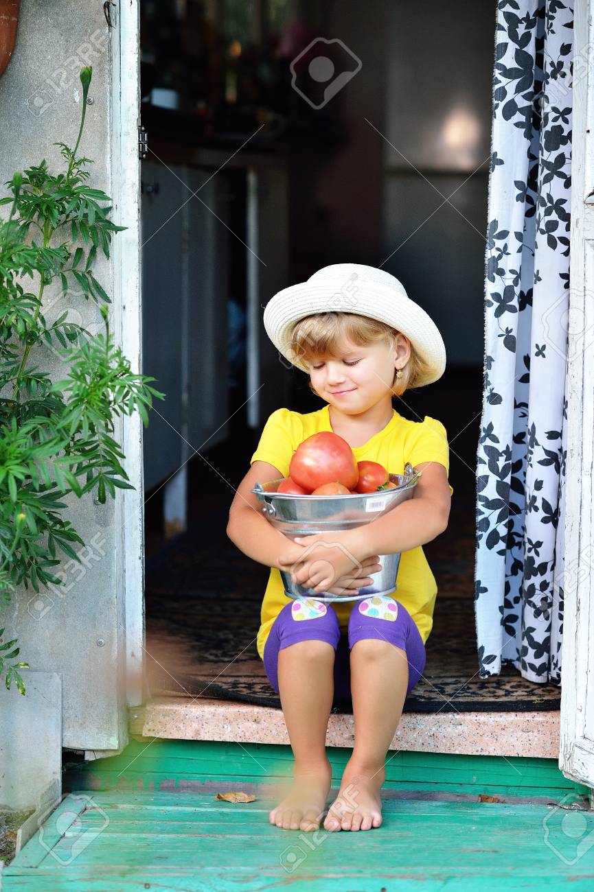 帽子の小さな 可愛い女の子が熟した赤いトマトの収穫をしました の写真素材 画像素材 Image