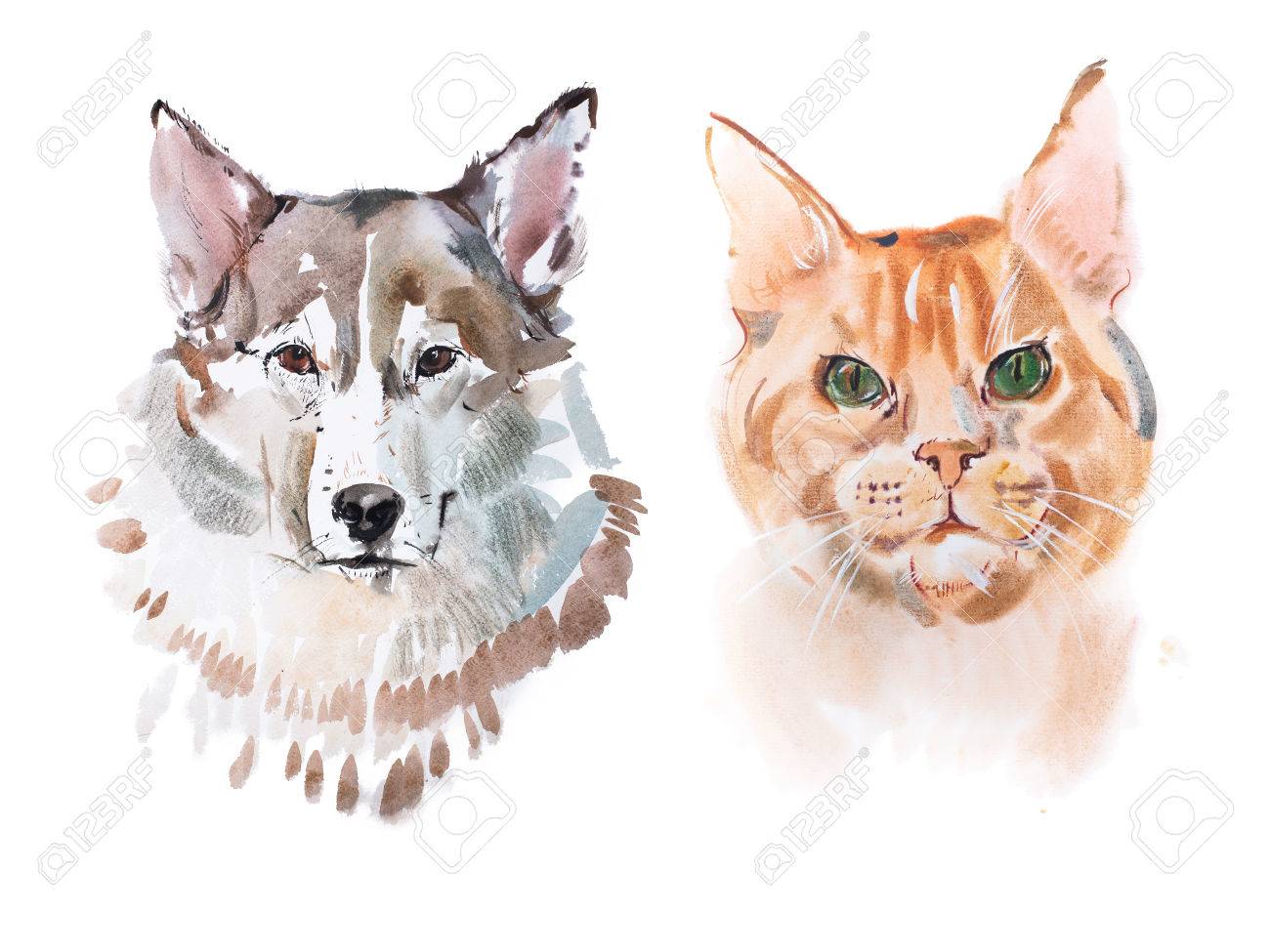 Aquarelle Sur Papier Chat A Tete Rouge Et Chien Dessin Aquarelle Banque D Images Et Photos Libres De Droits Image 7433 Aquarelle Sur Papier Chat A Tete Rouge Et Chien Dessin Aquarelle Banque D Images Et Photos Libres De Droits Image 7433