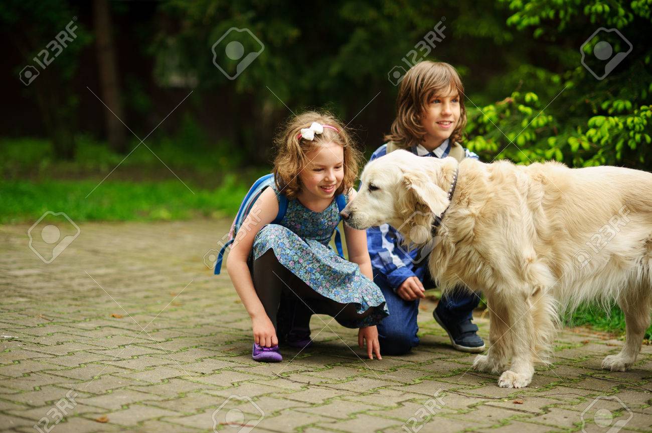 大型犬を学校に途中で少し児童を満たすため 善良なレトリーバーは 子供たちの注目を集めました 子供はかわいい犬の横にしゃがみ込んでください の写真素材 画像素材 Image