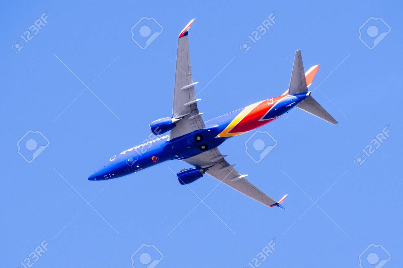 Flight Flight