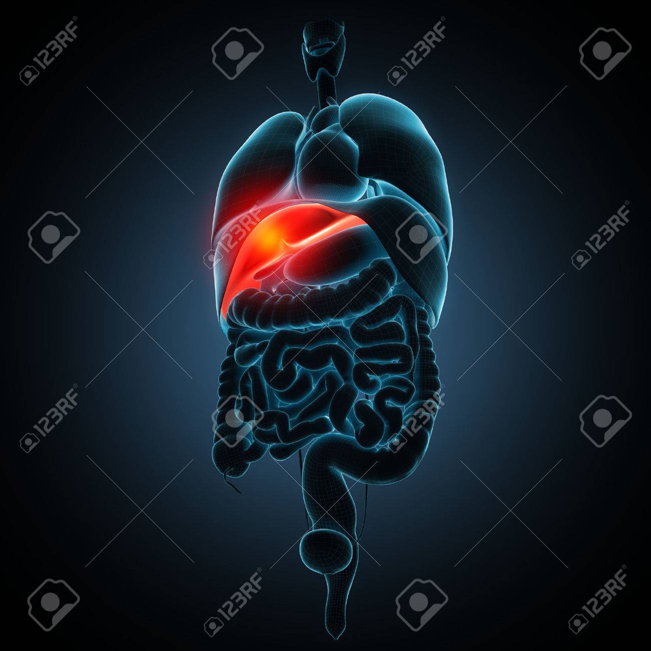 see other disease illustration in my portfolio - 50242258 see other disease illustration in my portfolio - 50242258