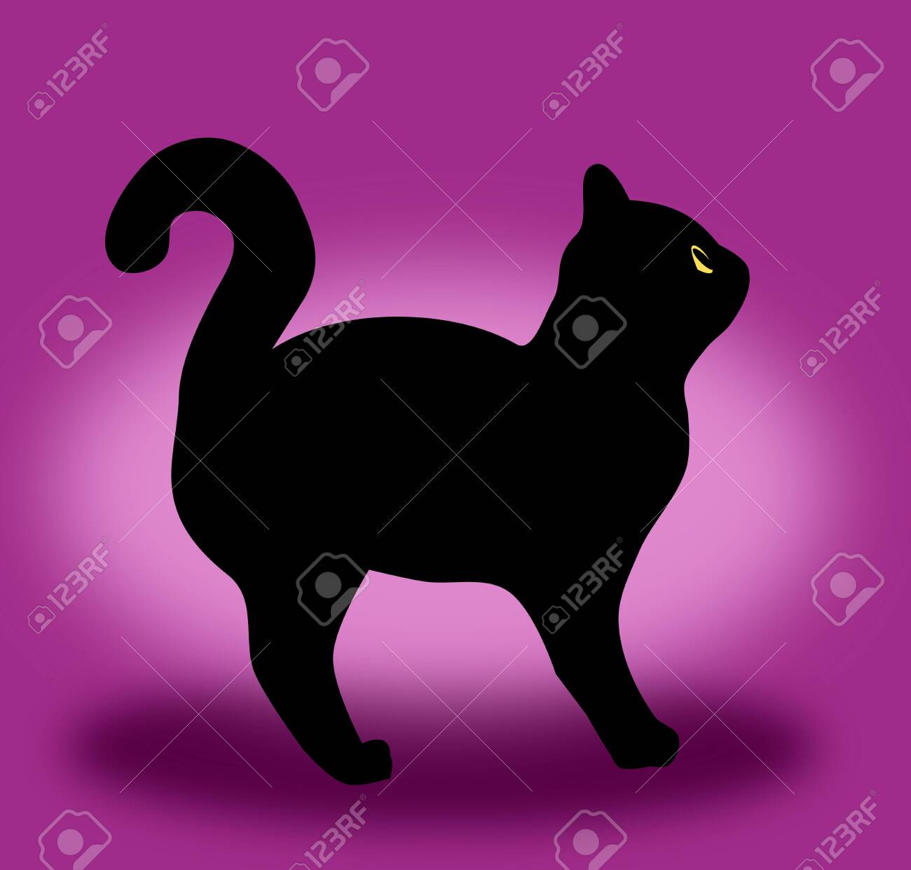 black cat with purple eyes