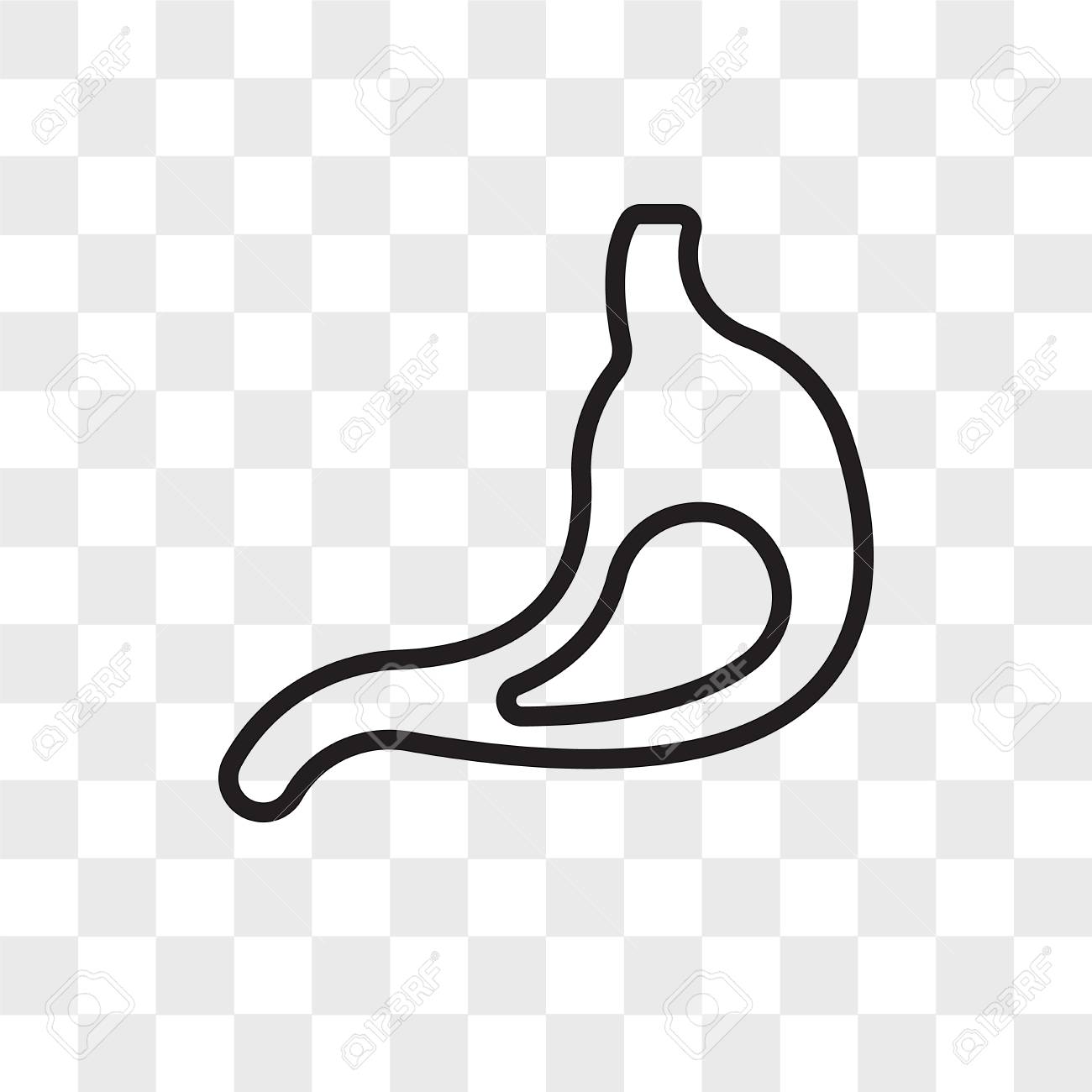 Gastroenterology Vector Icon Isolated On Transparent Background - 