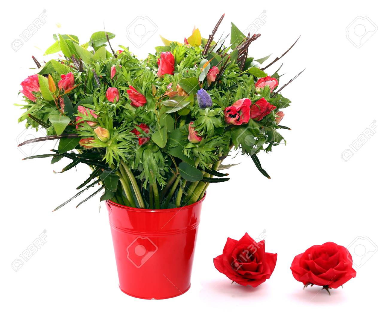 白い背景で隔離赤い植木鉢でアネモネ ハート型ブーケ の写真素材 画像素材 Image 72