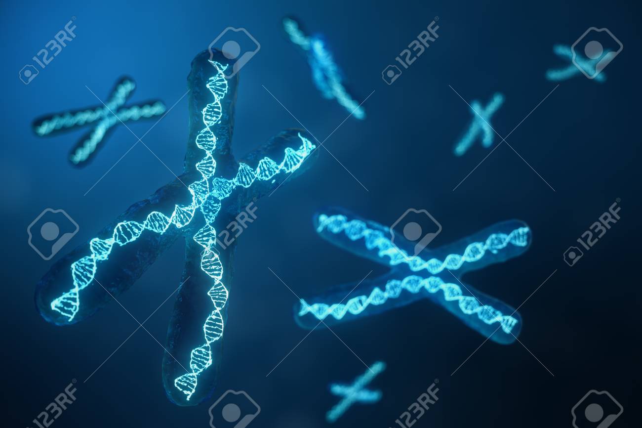 3D Illustration X-Chromosomes With DNA Carrying The Genetic Code. Genetics Concept, Medicine Concept. Future, Genetic Mutations. Changing The Genetic Code At The Biological Level. Stock Photo, Picture And Royalty Free Image. Image 3D Illustration X-Chromosomes With DNA Carrying The Genetic Code. Genetics Concept, Medicine Concept. Future, Genetic Mutations. Changing The Genetic Code At The Biological Level. Stock Photo, Picture And Royalty Free Image. Image