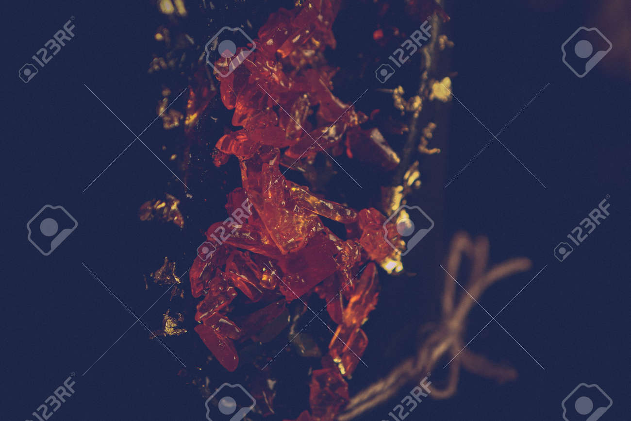 etiam-dictum-ipsum-a-felis