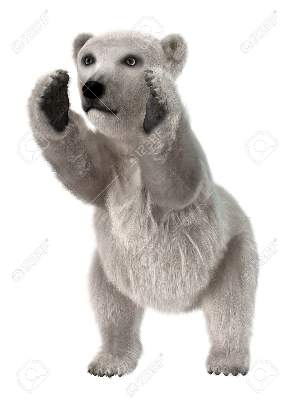 3d Digital Render Of A Cute Baby Polar Bear Isolated On White