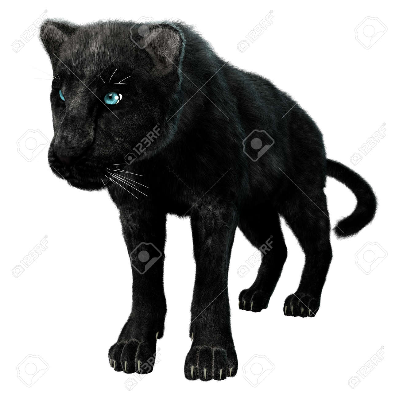 白い背景に分離された黒豹のデジタル 3 D レンダリングします の写真素材 画像素材 Image