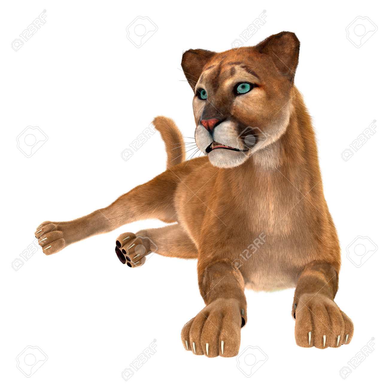 solamente solo ir de compras Representación 3d De Un Gato Puma Grande Aislado En El Fondo Blanco Fotos, Retratos, Imágenes Y Fotografía De Archivo Libres De Derecho. Image 78202045. solamente solo ir de compras Representación 3d De Un Gato Puma Grande Aislado En El Fondo Blanco Fotos, Retratos, Imágenes Y Fotografía De Archivo Libres De Derecho. Image 78202045.