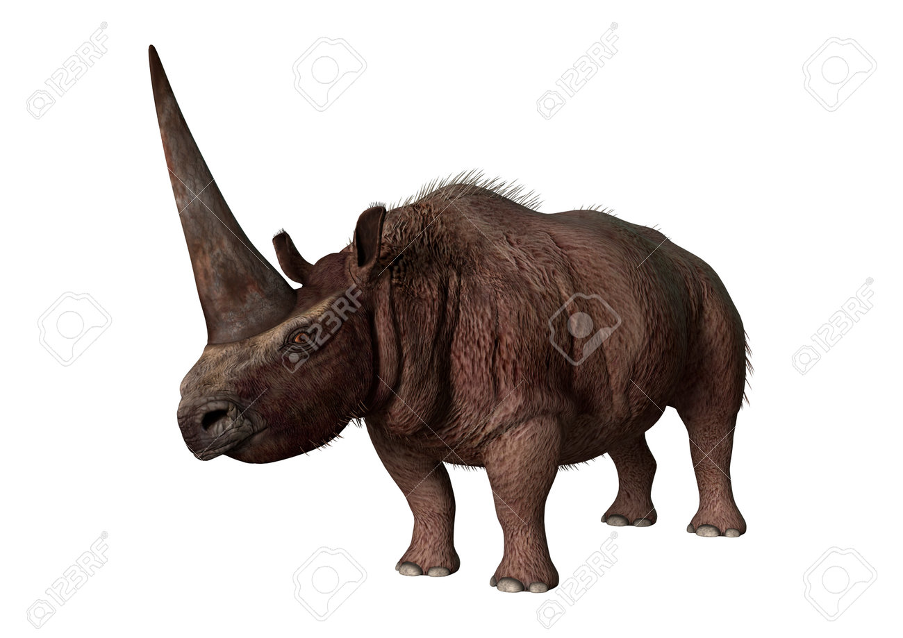 白い背景に孤立した巨大な絶滅したサイエラスモテリウム Sibiricum の