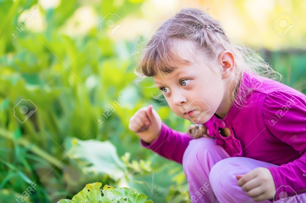 Das Mädchen Im Lila Kleid Sitzt In Der Nähe Des Kohlbeet Lizenzfreie Fotos,  Bilder Und Stock Fotografie. Image 57961455.