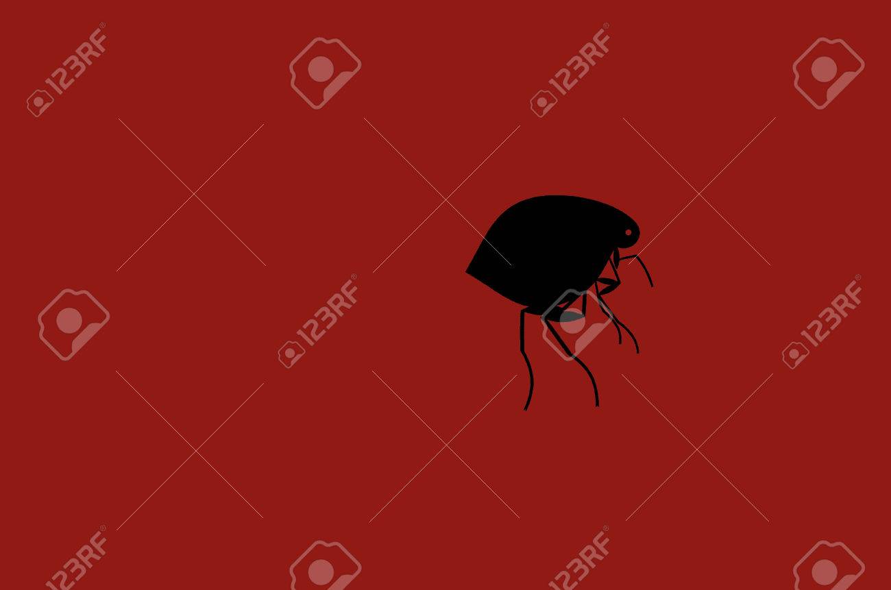 黒いシルエットのノミは 明るい赤の背景に描かれています の写真素材 画像素材 Image