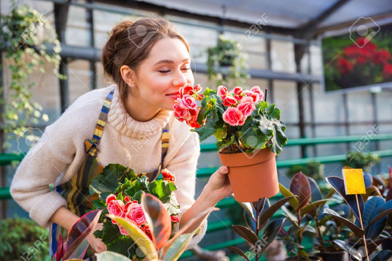 Greenhouse Gardener
