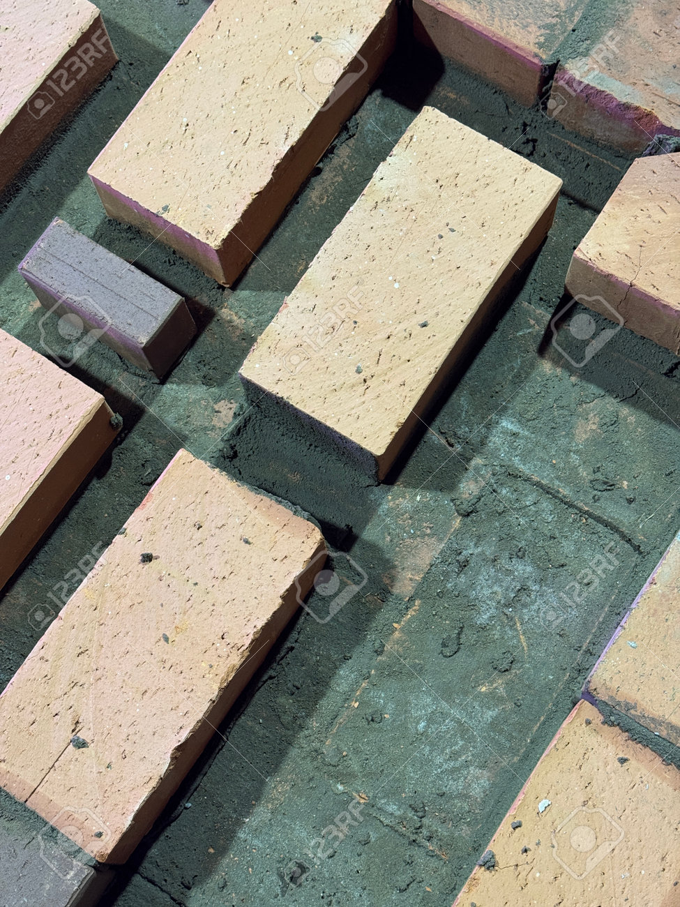 etiam-dictum-ipsum-a-felis