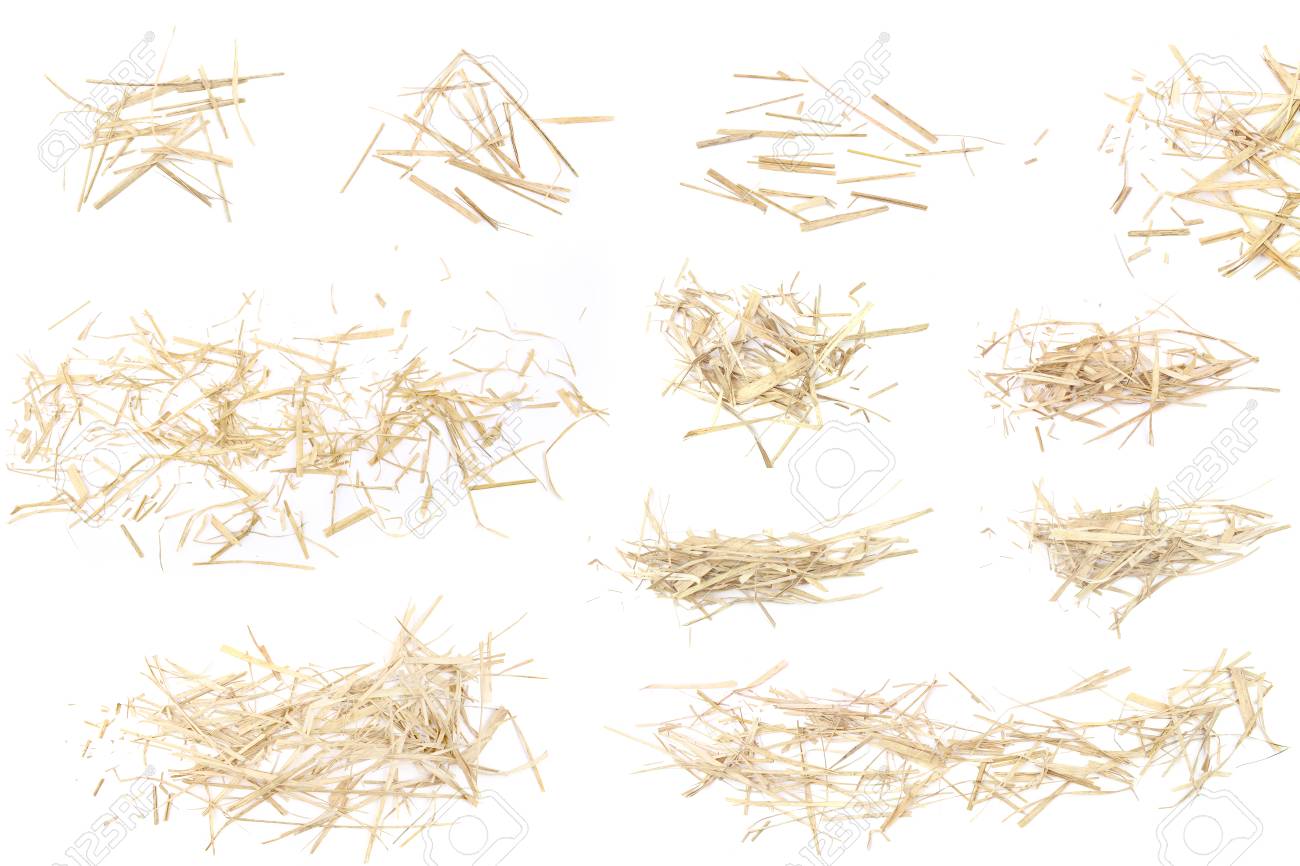 piles from dry grass for graphic design isolated on white background country themed backgrounds