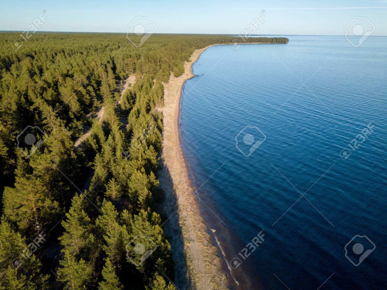 etiam-dictum-ipsum-a-felis