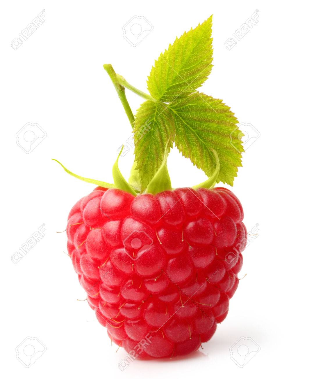 Red berry raspberry isolated on white background - 32040493 Red berry raspberry isolated on white background - 32040493