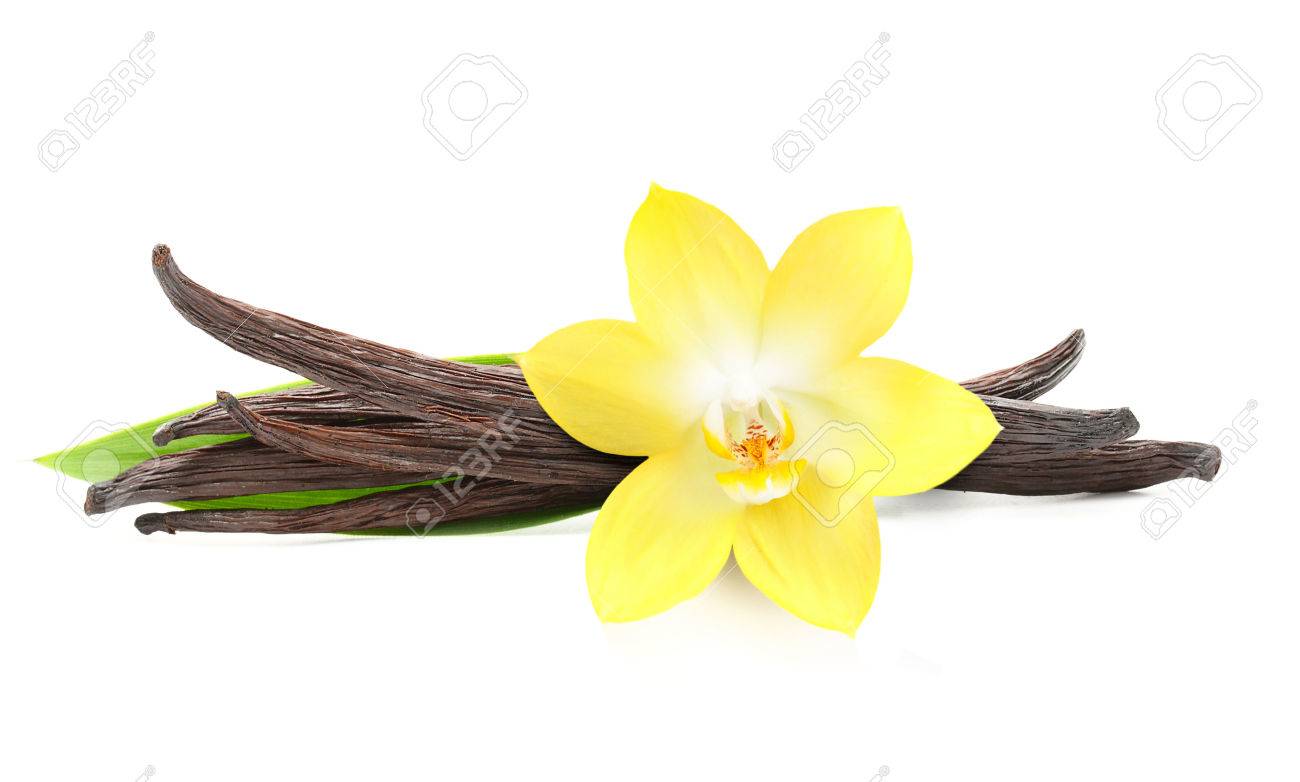 Vanilla pods and orchid flower isolated on white background - 61200929 Vanilla pods and orchid flower isolated on white background - 61200929