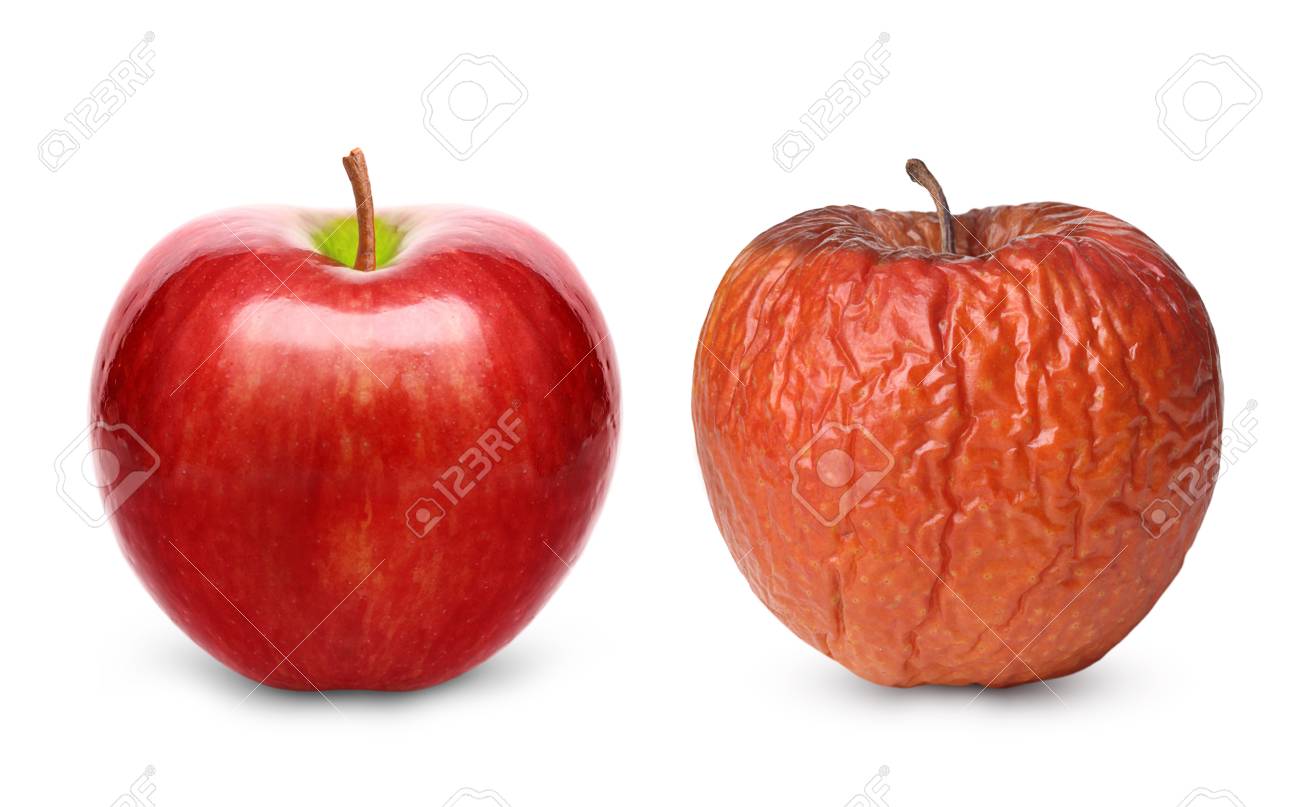 Wrinkled and fresh apple isolated on white background. Aging concept. - 61262702 Wrinkled and fresh apple isolated on white background. Aging concept. - 61262702