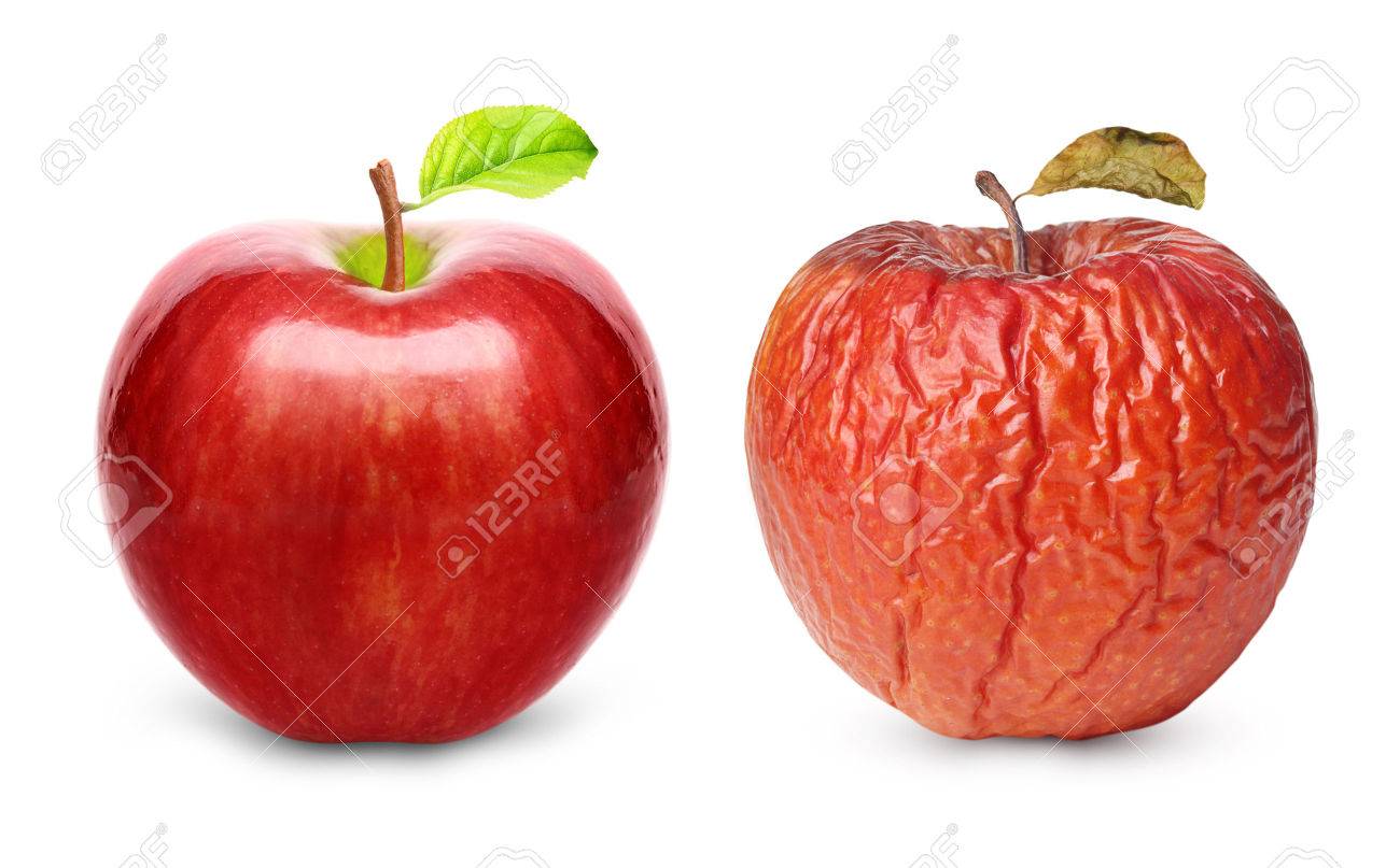 しわであり 白い背景の上に新鮮なリンゴが分離されました コンセプトを老化します の写真素材 画像素材 Image