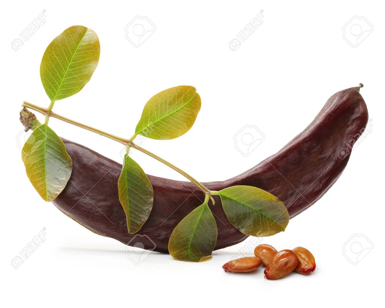 Carob pod and seeds isolated on a white background - 61281433 Carob pod and seeds isolated on a white background - 61281433