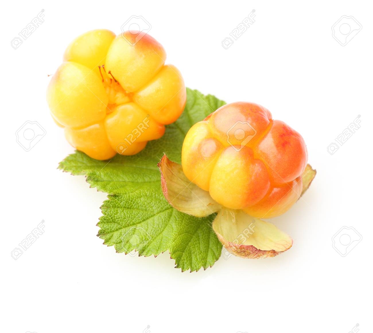 What is useful cloudberry (berry) 82 What is useful cloudberry (berry) 52