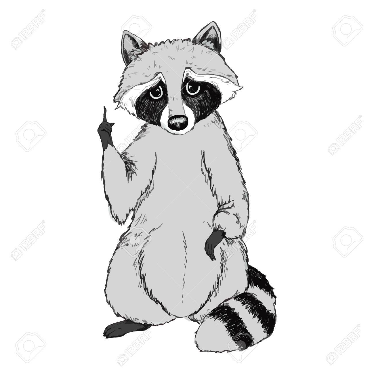 かわいいアライグマ ベクトル イラスト のイラスト素材 ベクタ Image