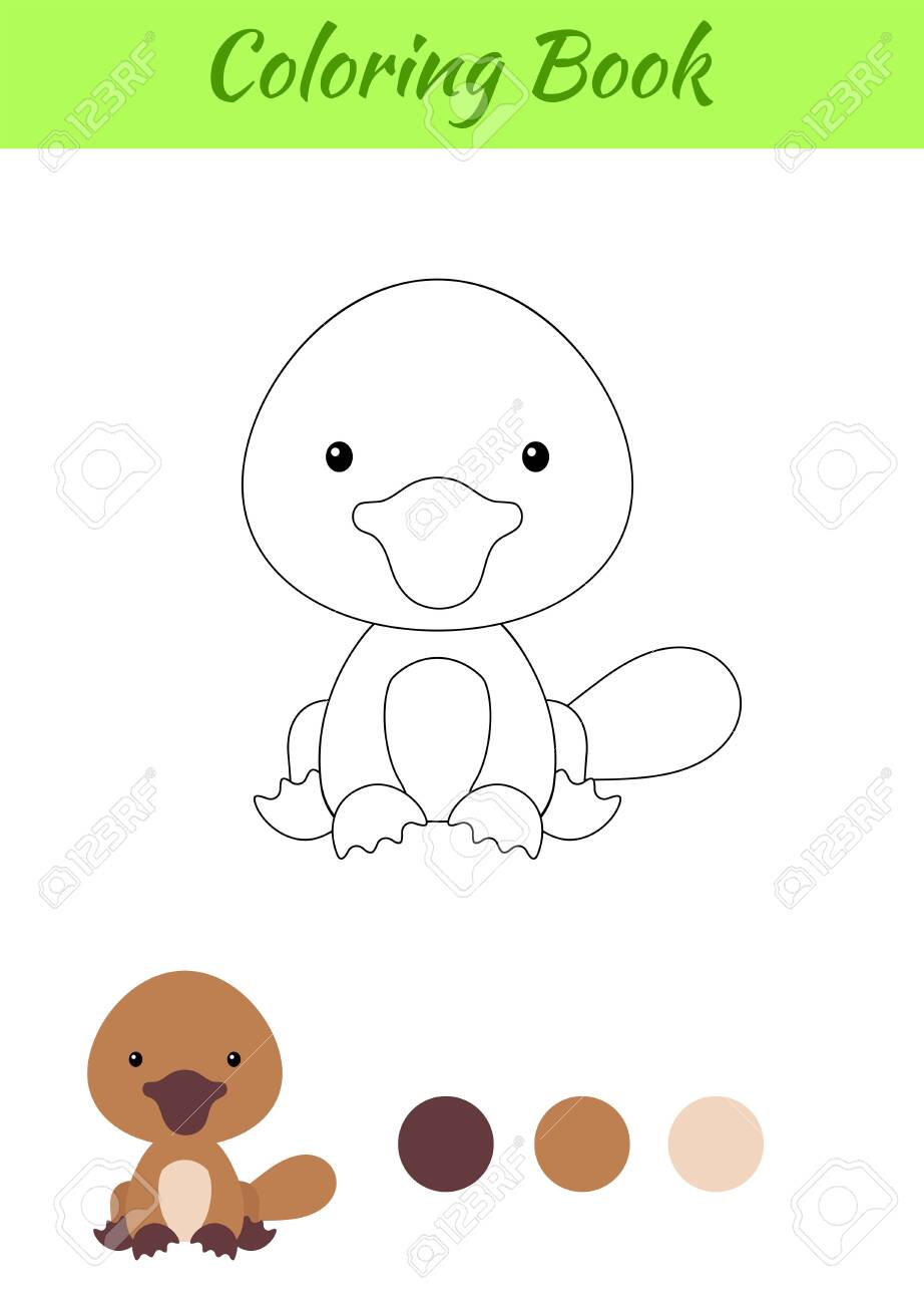 Coloring Page Little Sitting Baby Platypus Coloring Book For Royalty Free Cliparts Vectors And Stock Illustration Image