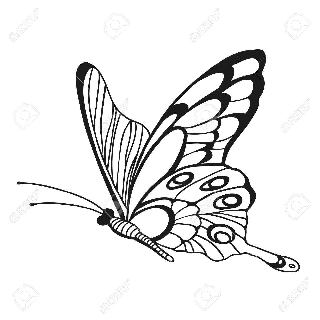 Beautiful monochrome butterfly sketch of insect for design and scrapbooking stock vector 39349175